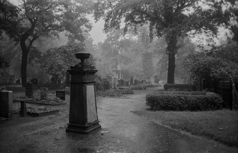 Dorotheenstadt Cemetery, 1980 (photo)
