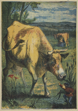 Tom Thumb and the Cow (colour litho)
