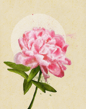 The Peony, 2021 (digital)
