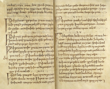 A recipe to cure eye infections is contained on pages.
