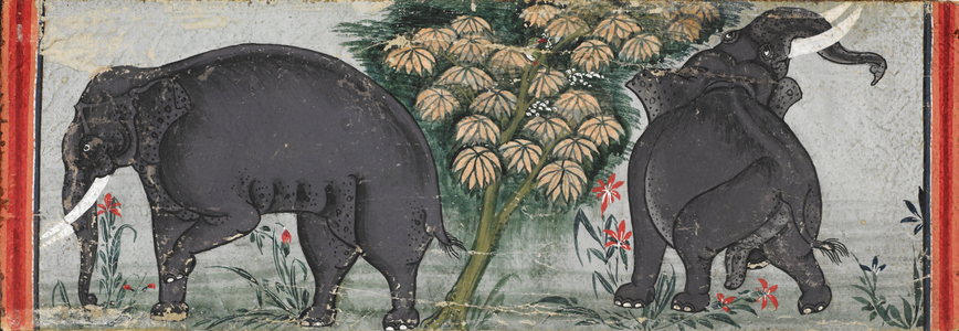 Two Elephants