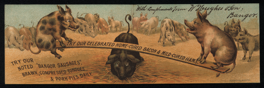 Home cured ham and bacon, W Hughes and Son, advertisement (chromolitho)