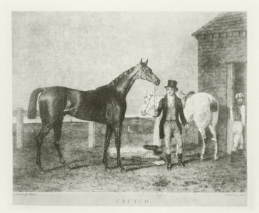 Crutch, foaled 1828 (b/w photo)