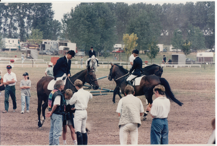 Stölln 24th Otto Lilienthal Festival, Germany, 1996 (photo)