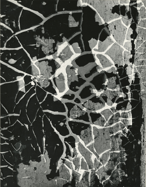 Cracked Paint, 1974 (silver gelatin print)
