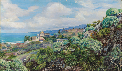 View of Sitio del Pardo, Orotava, Teneriffe, 1875 (oil on board)