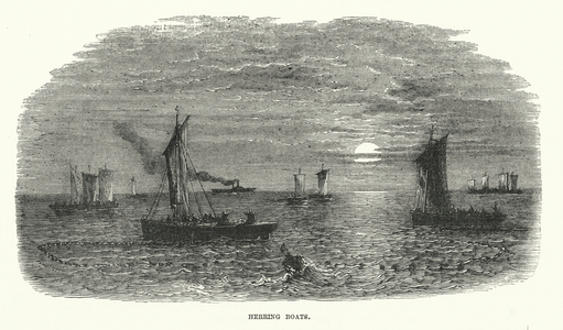 Herring Boats (engraving)