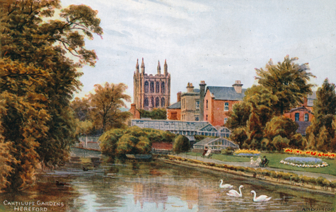 Cantilupe Gardens, Hereford (colour litho)