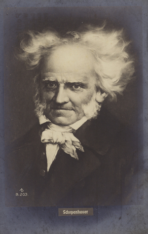 Arthur Schopenhauer (1788-1860), German philosopher (litho)