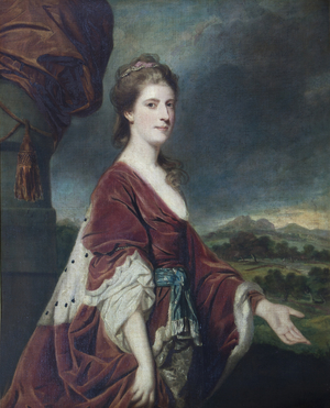 Mary Lloyd, Countess of Rothes, later Mrs Bennet Langton, 1764-66 (oil on canvas)