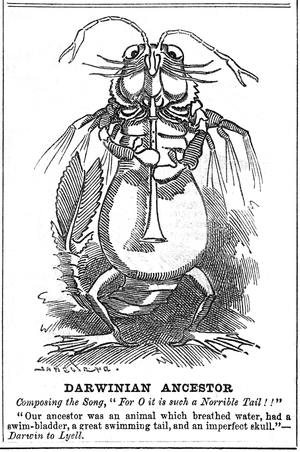 Cartoon on Darwinism. From Punch, London, 10 December 1887