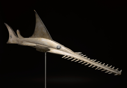 Sawfish Headdress, 20th century (wood, mirrors, nails, and paint)