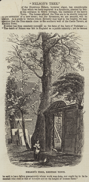 Nelson's Tree, Kentish Town (engraving)
