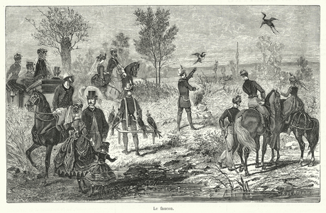 Le faucon (engraving)