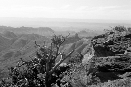 Hiking through Big Bend National Park, Lookinf toward Mexico, Texas, USA, 1964