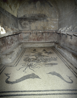 Italy, Herculaneum, Thermal baths, Female tepidarium, Mosaic with Triton, dolphine, cupid and octopus