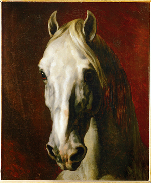 Head of a white horse …