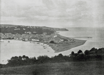 Teignmouth, General View of the Dene (b/w photo)