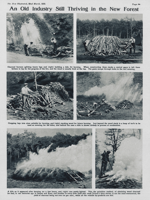 Charcoal industry thriving in the New Forest (b/w photo)