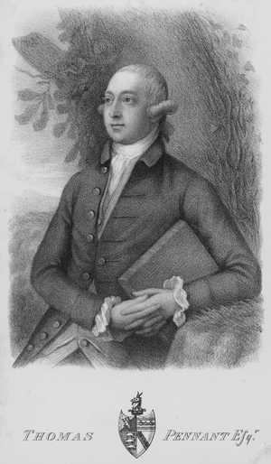 Thomas Pennant, portrait (engraving)