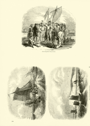 Page from The Pictorial Museum of Animated Nature (engraving)