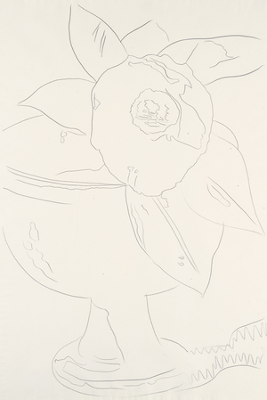Flower (#1-8), 1975 (graphite on paper) (see also 780227-33)