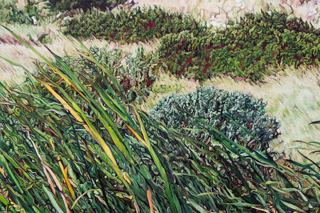 N2, (Detail i), 2017 (oil & mixed media on linen)