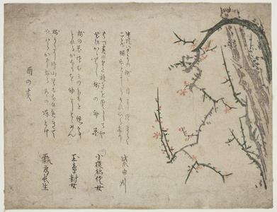 Cherry Blossoms (woodblock print)