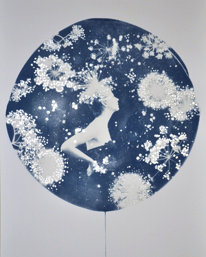Callisto, 2014 (cyanotype with silver leaf on paper)
