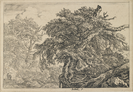 The Great Beech with Two Men and a Dog, c. 1650-1655