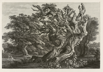 Fantastic large oak tree with a stork's nest (etching)