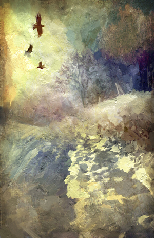 Winter afternoon with crows