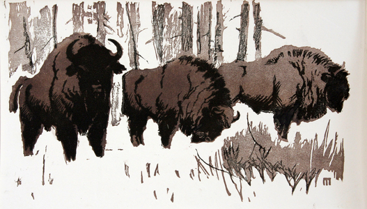 Bisons in the Snow, 1955 (linocut)