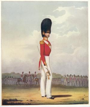 Officer of Grenadier Guards during Crimean War