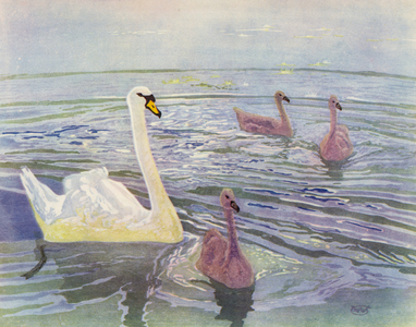 Swan and Cygnets (colour litho)