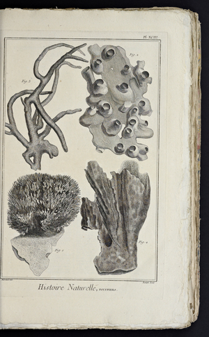Recueil de planches, sur les sciences, les arts libéraux, et les arts méchaniques, avec leur explication by Diderot, Denis, 1762 (print)