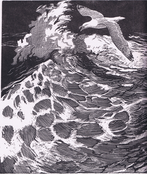 Like a gull soaring in the trough of a wave (litho)
