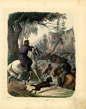 Moose Hunting with Dogs in Forested Mountains (engraving)