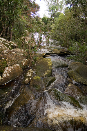 Waterfalls Popokvil, Bokor National Park, Cambodia (photo)