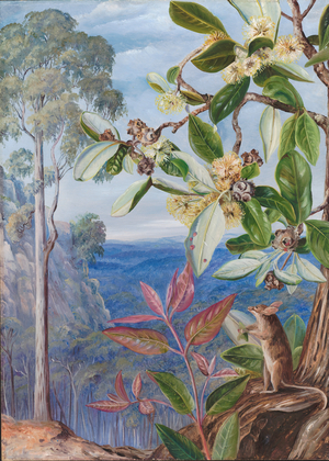 View over the Blue Mountains towards the sea, New South Wales, 1880 (oil on board)