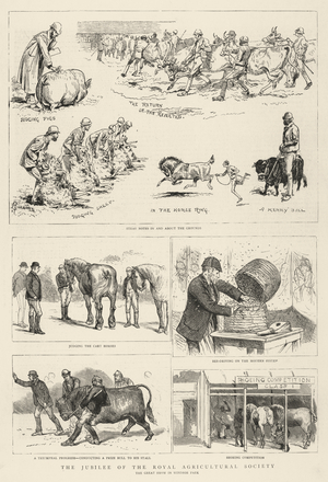 The Jubilee of the Royal Agricultural Society (engraving)
