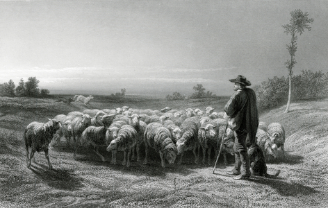 The Shepherd (engraving)