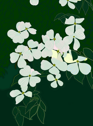 Flowering Dogwood, c.2020-24 (digital art)