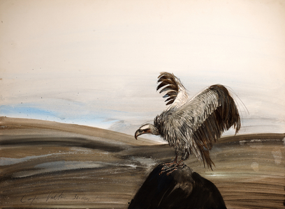 Vulture, nextinctions, folder, 10, 1983 (ink and acrylic on paper)