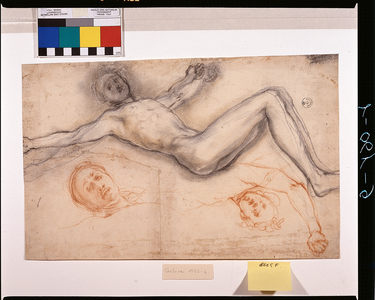 Study for crucified body, recto (drawing)