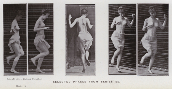 The Human Figure in Motion: Selected phases from series 55 (b/w photo)