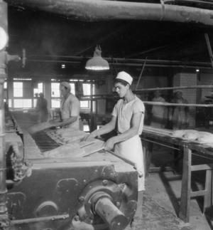 Wittler Brot, around 1930 (photo)