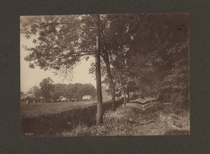 Elmshurst school for girls, East Finchley, London, c.1910 (b/w photo)