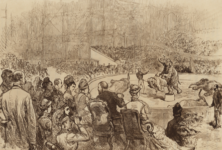 Visit of the Prince and Princess of Wales and the King and Queen of Greece, 1876 (gravure)