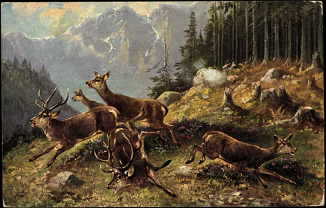 Artists deer on the edge of the forest, frightened and flee